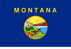 Best replacement windows Montana