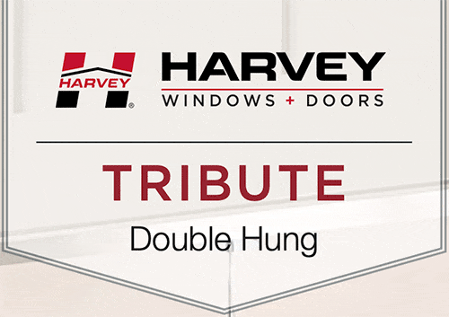 Harvey Tribute Windows Reviews